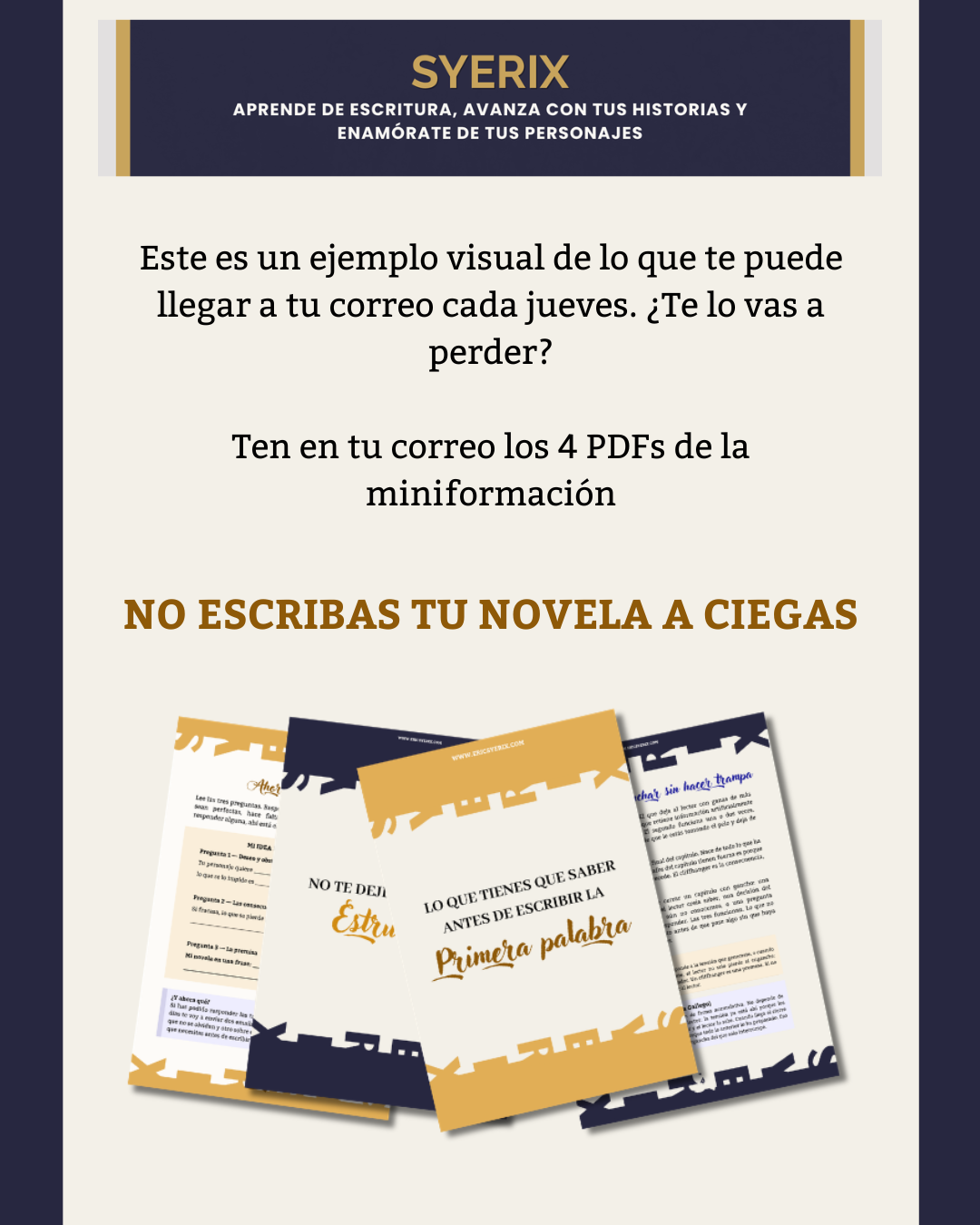 Ejemplo de newsletter de Eric Syerix